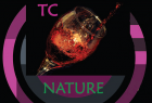 formation BTSA Technico-commercial spécialité boissons, vins et spiritueux
